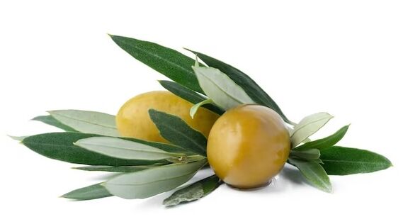 Το Blutforde περιέχει εκχύλισμα φύλλων ελιάς